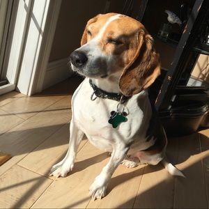 Meet your Posher, Madelyn